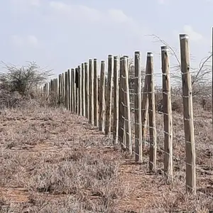 Chuna Phase 4 - Athi River Land for Sale, 50x100 Ft