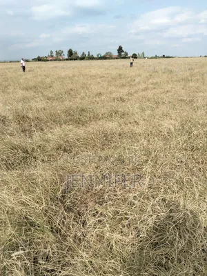 Kitengela 1/8 Acre Plot