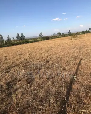Chuna Phase 4 - Athi River Land for Sale, 50x100 Ft