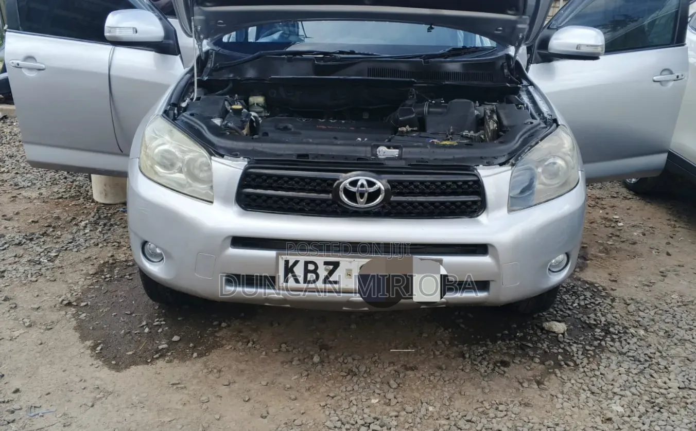 Toyota RAV4 2007 Silver