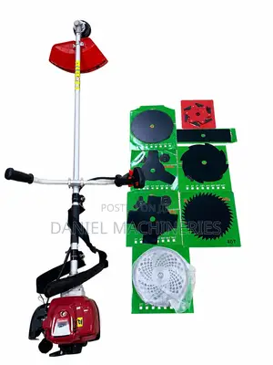 Wasp Combo Brush Cutter 4 in 1