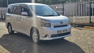 Toyota Voxy 2007 Gray