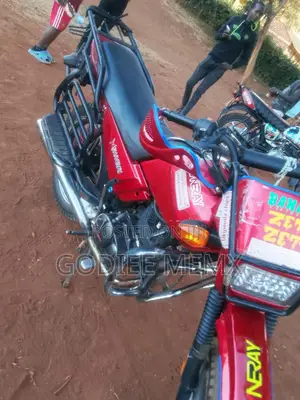 Shineray XY175GY 2022 Red