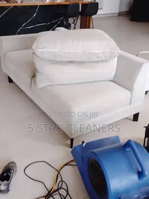 Instant Dry for All Upholstery Cleaning Services