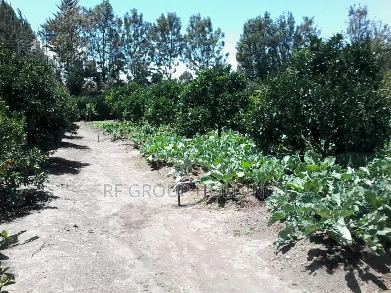 School for Sale in Nakuru – 10 Acres, 1000+ Capacity, Fully Equipped