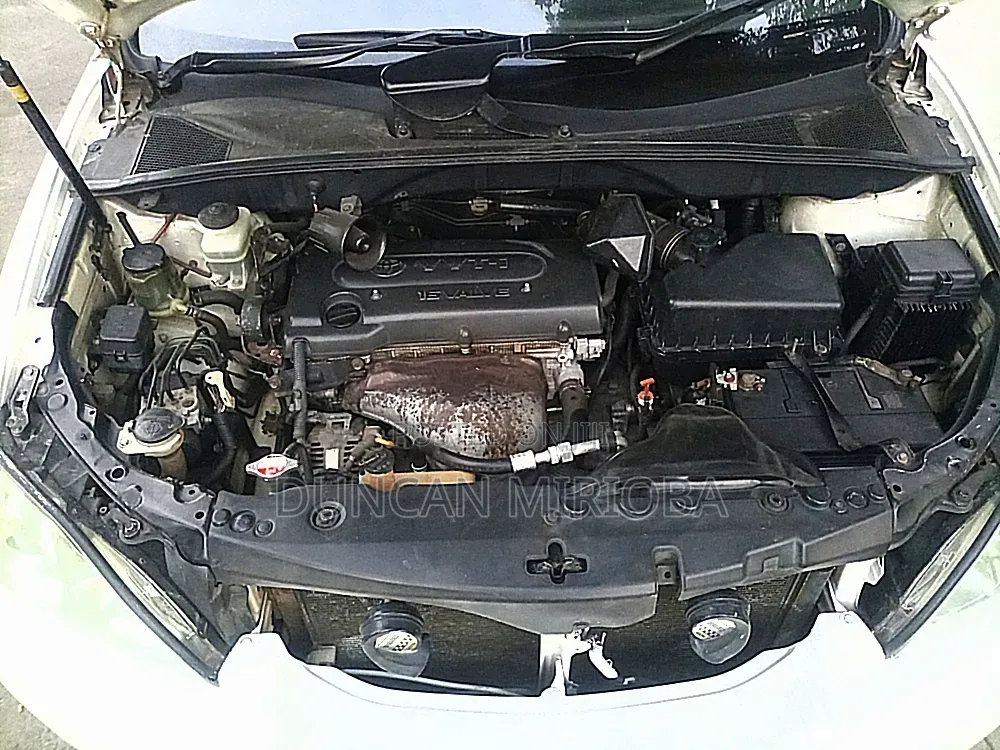 Toyota Harrier 2009 White
