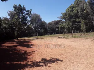 1/4 Acre Land in Matasia