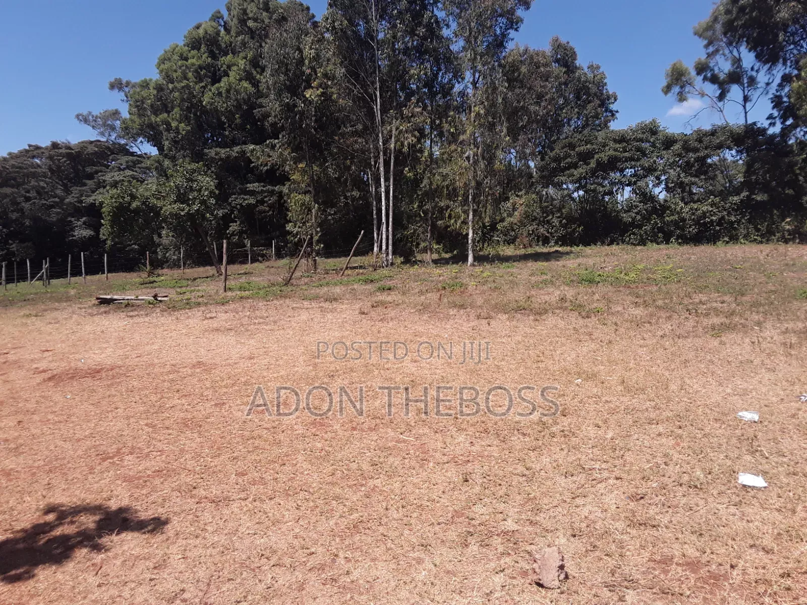 1/4 Acre Land in Matasia