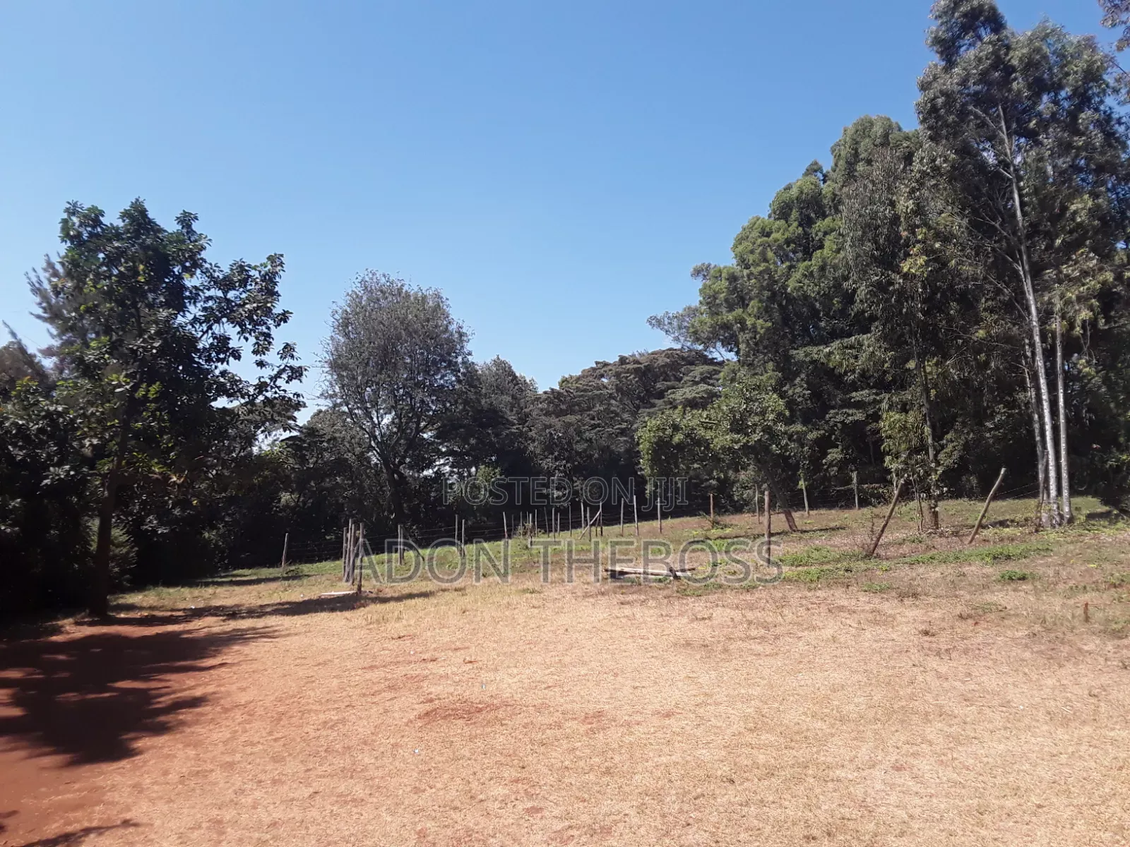 1/4 Acre Land in Matasia