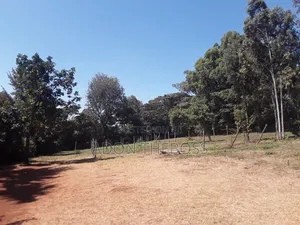 1/4 Acre Land in Matasia