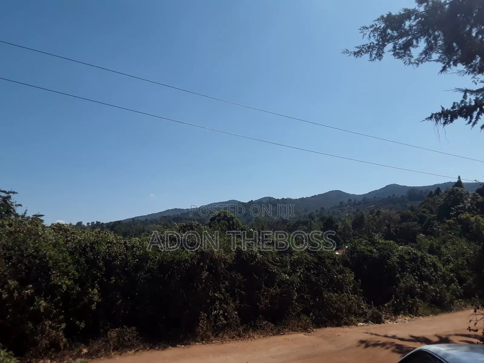 1/4 Acre Land in Matasia