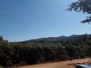 1/4 Acre Land in Matasia