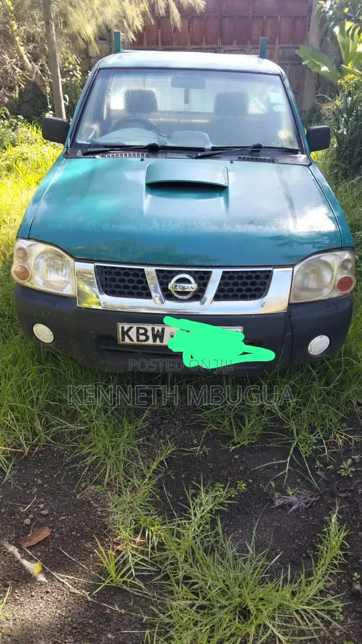 Nissan Pick-Up 2006 Green