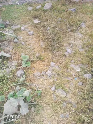 Industrial Land 11 Acres Off Mutungoni Daystar Road 2.5kms Off Msa Rd