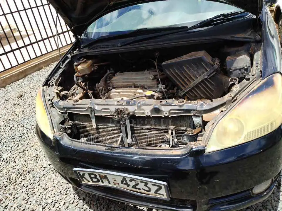 Toyota Ipsum 2003 Black