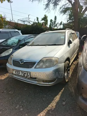 Toyota Corolla Fielder 2004 Silver