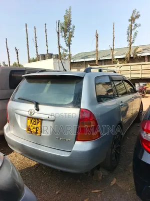 Toyota Corolla Fielder 2004 Silver
