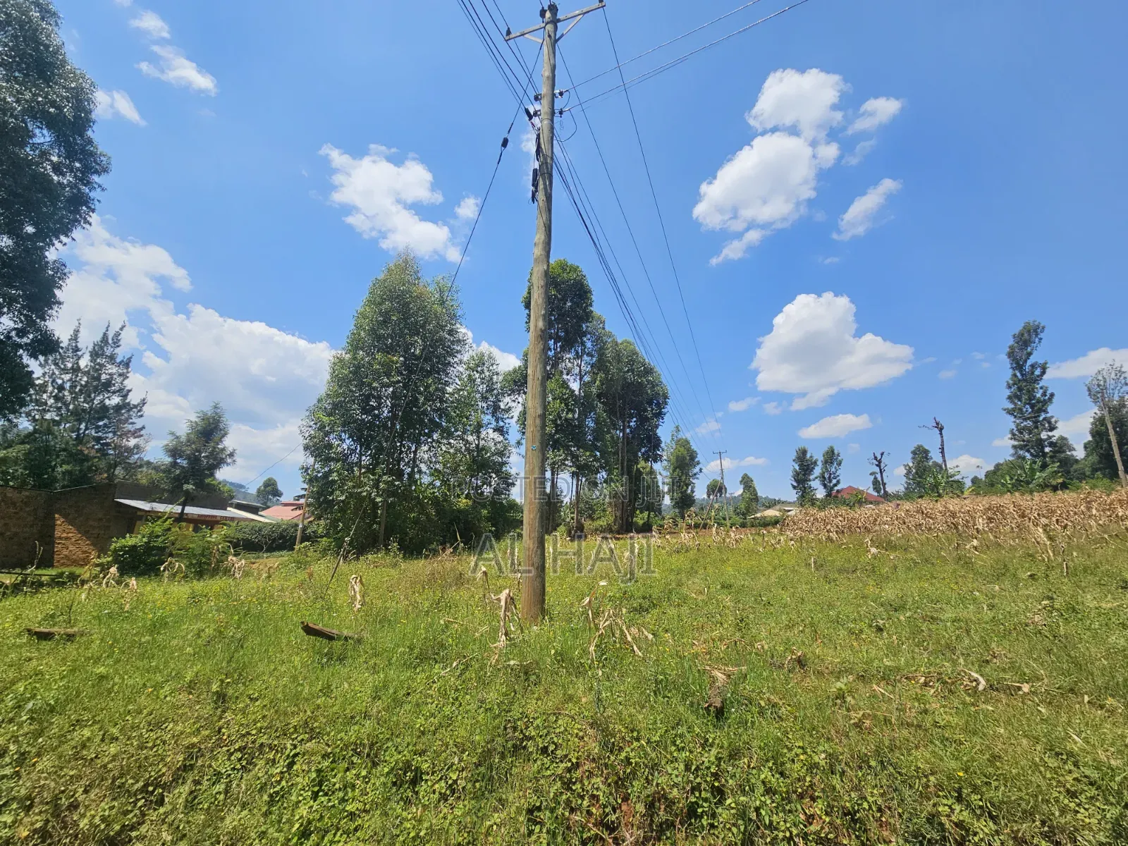 Land for Sale