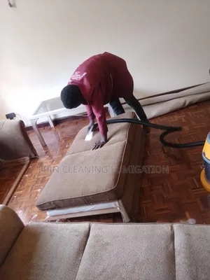 Sofa Expert Cleaners in General House Cleaning