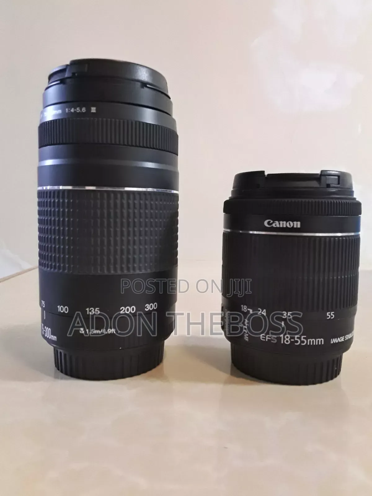 Canon Lenses 18-55mm, 75-300mm 50mm/1.8