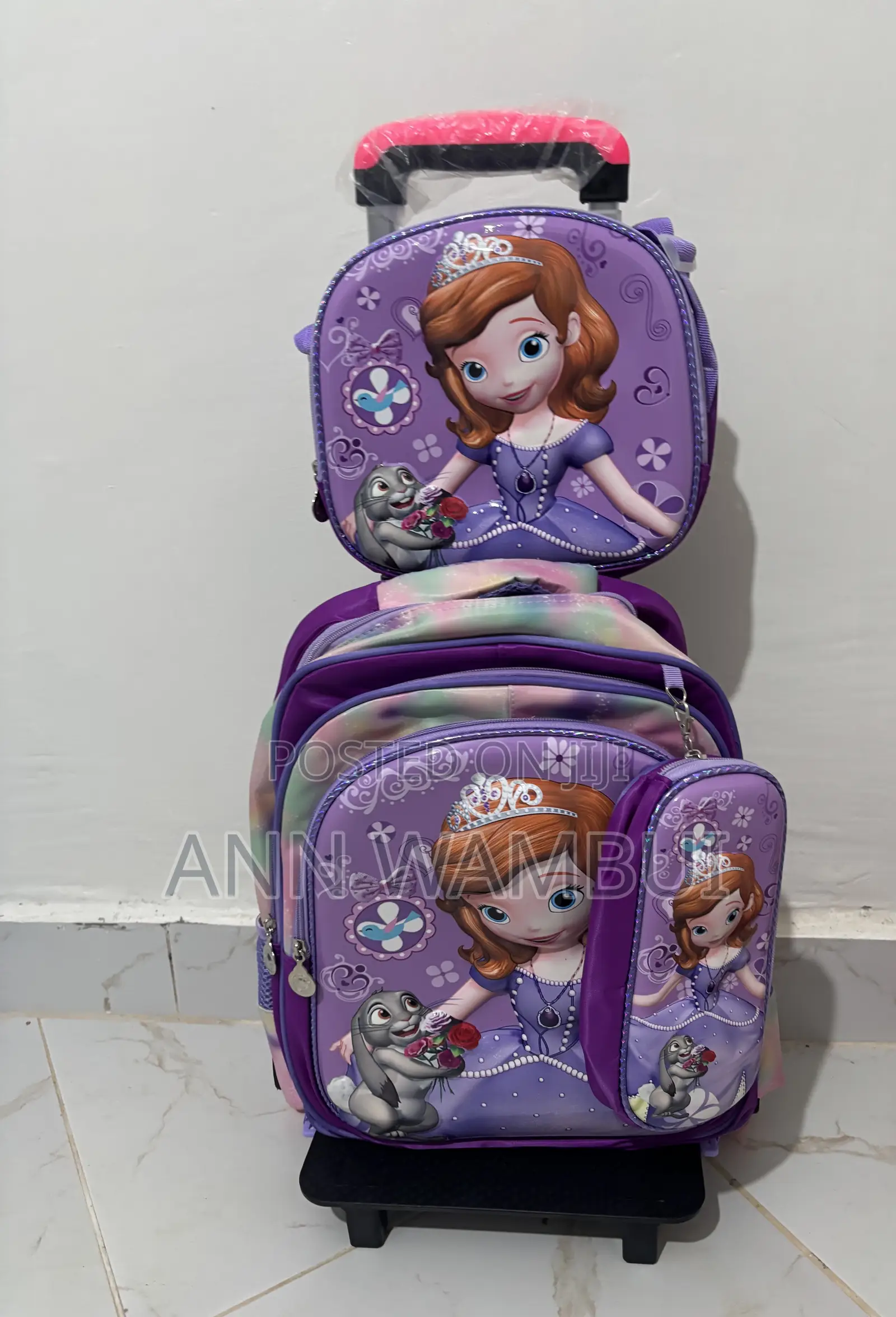 3in1 Trolley Bag