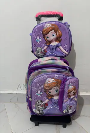 3in1 Trolley Bag