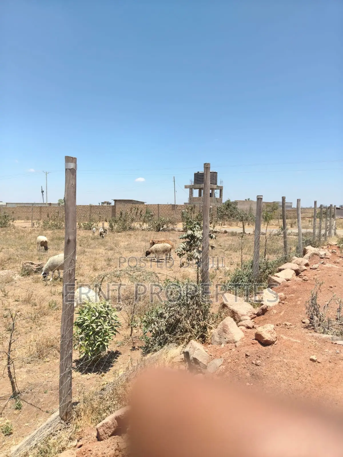 Prime 10-Acre Land for Sale | Old Choro Onyore