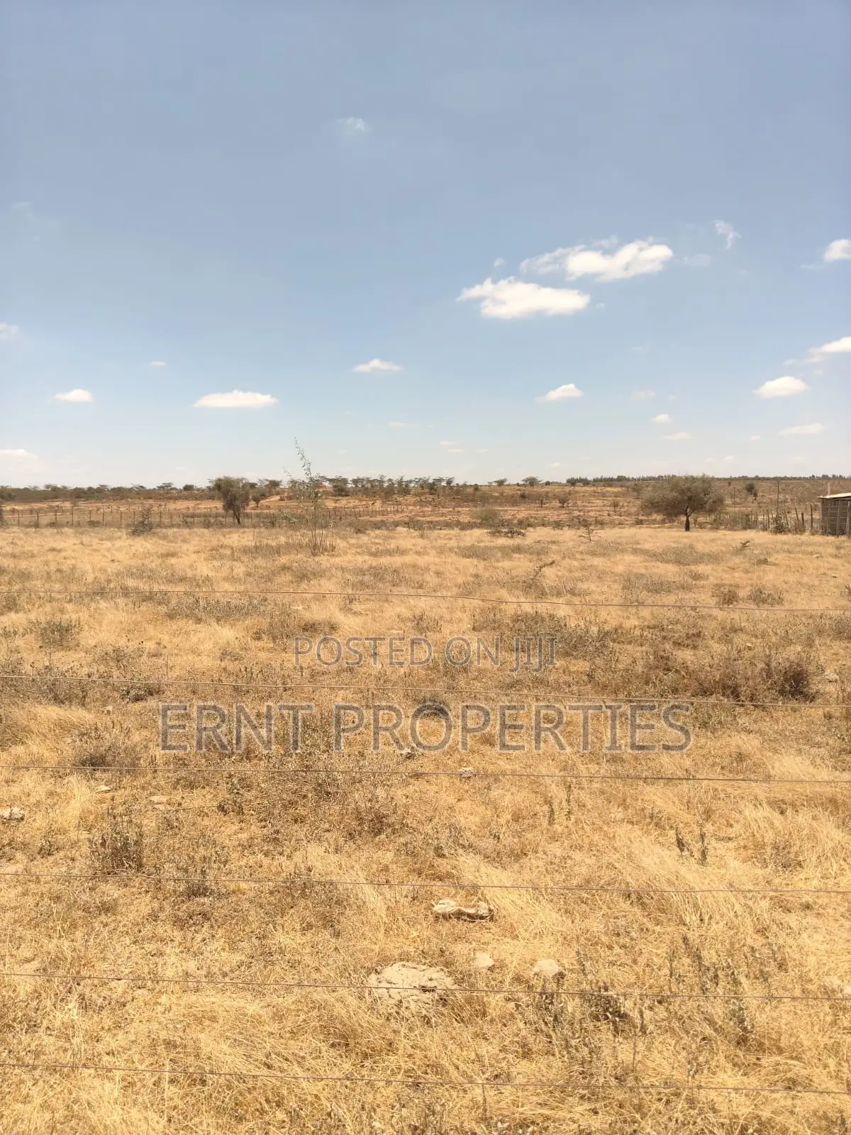 Prime 10-Acre Land for Sale | Old Choro Onyore