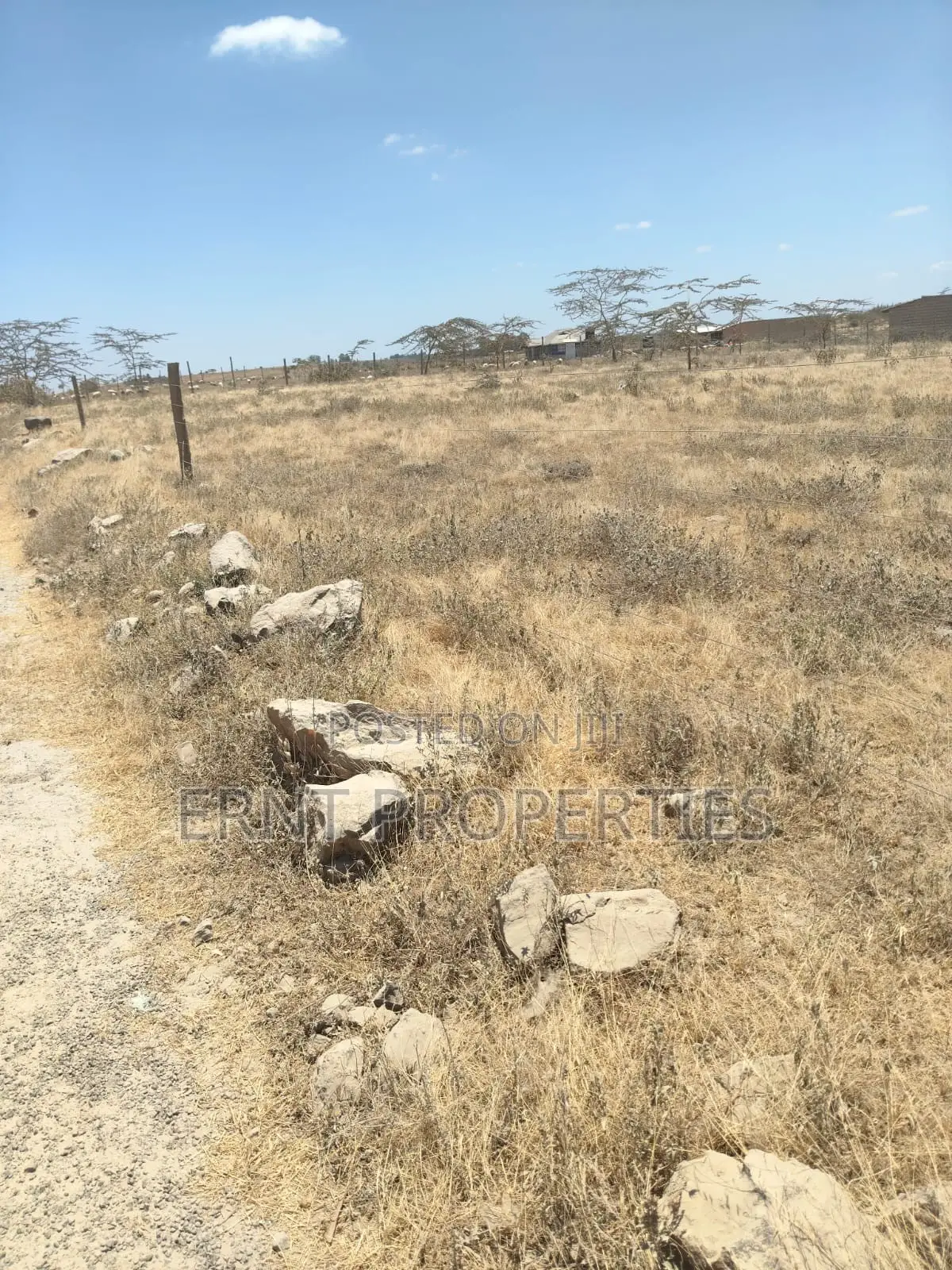 Prime 10-Acre Land for Sale | Old Choro Onyore