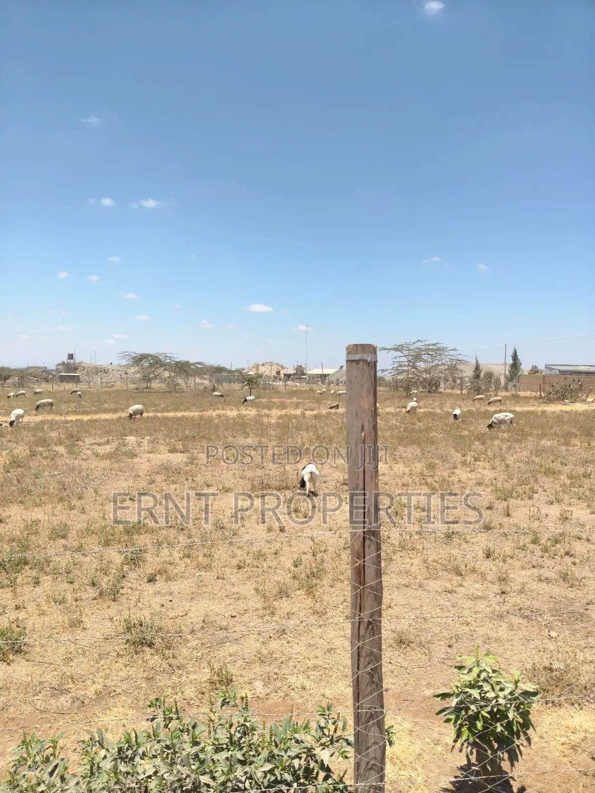 Prime 10-Acre Land for Sale | Old Choro Onyore