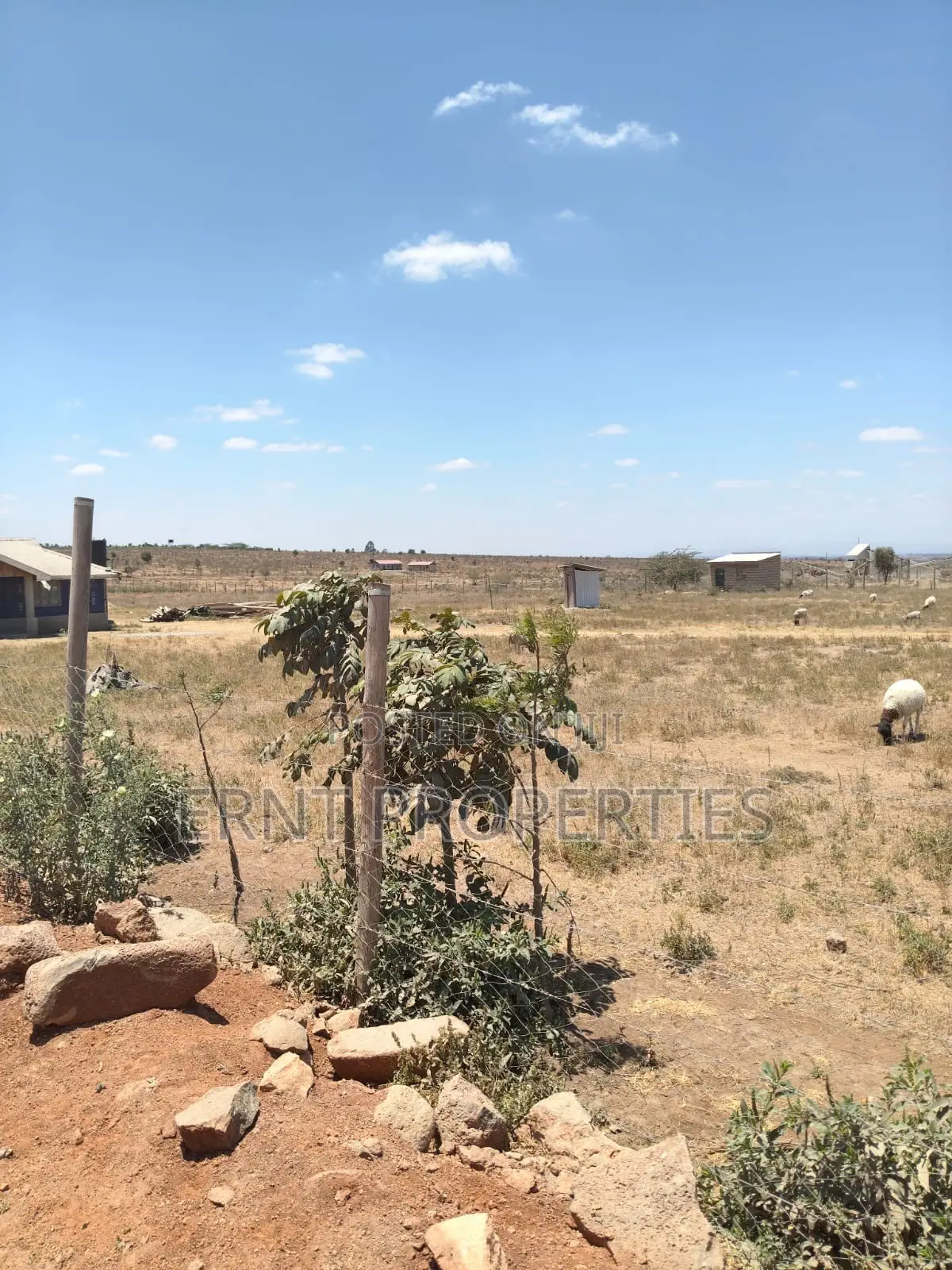 Prime 10-Acre Land for Sale | Old Choro Onyore
