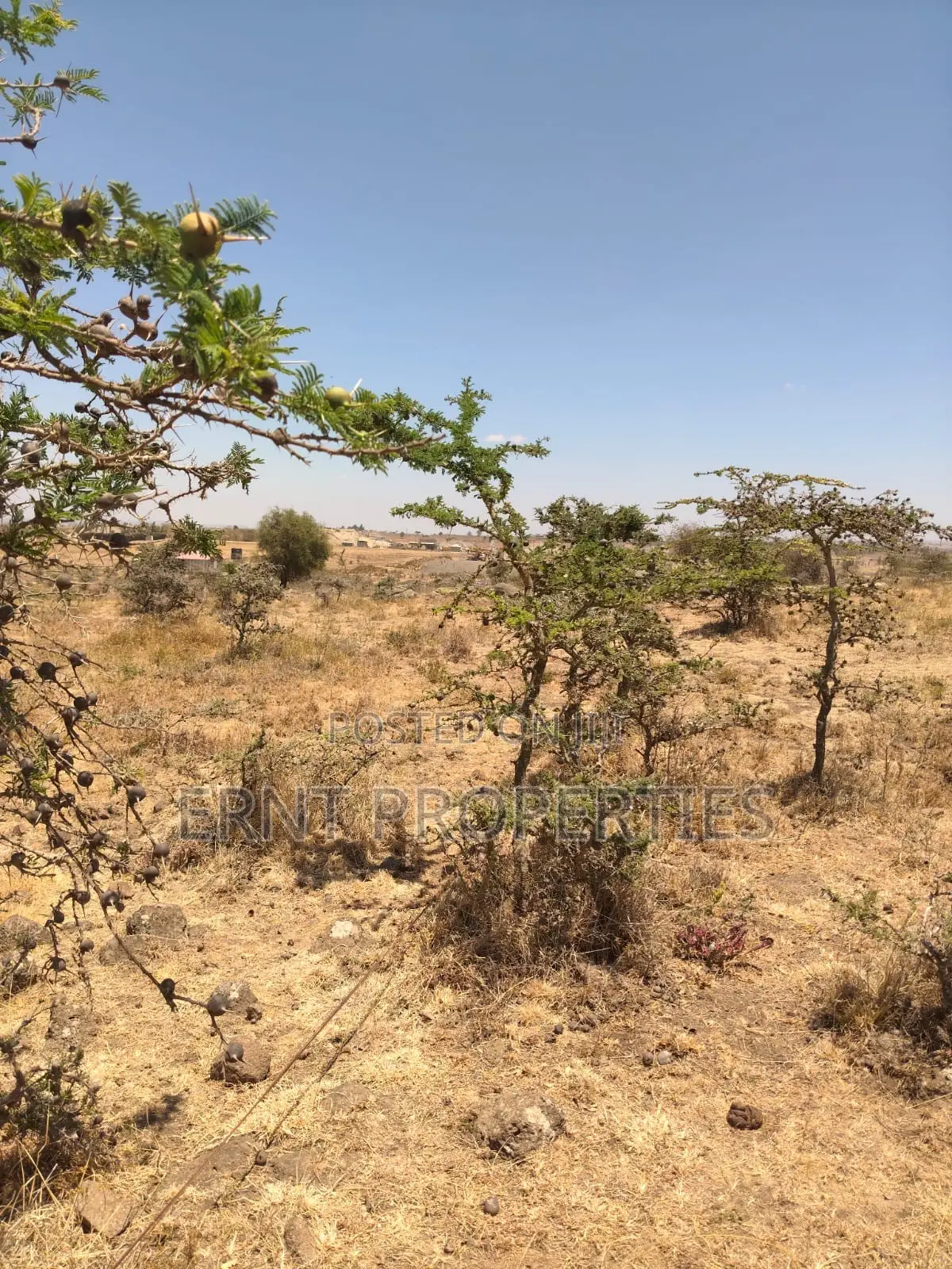 Prime 10-Acre Land for Sale | Old Choro Onyore