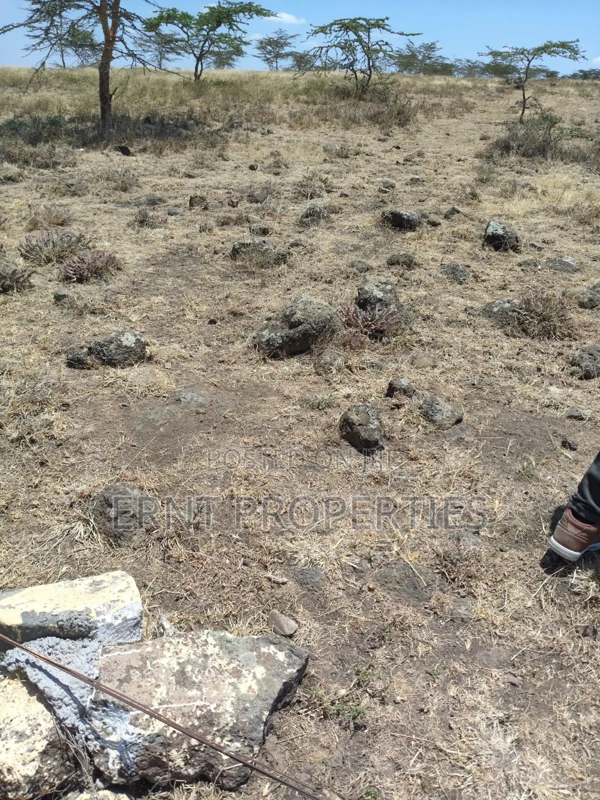 Prime 10-Acre Land for Sale | Old Choro Onyore