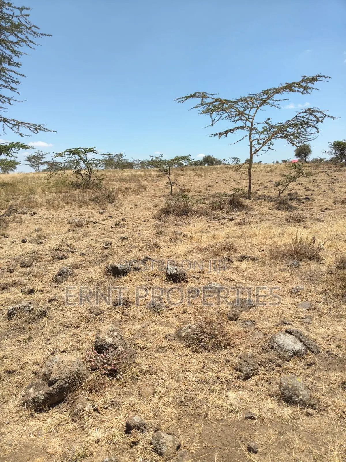 Prime 10-Acre Land for Sale | Old Choro Onyore