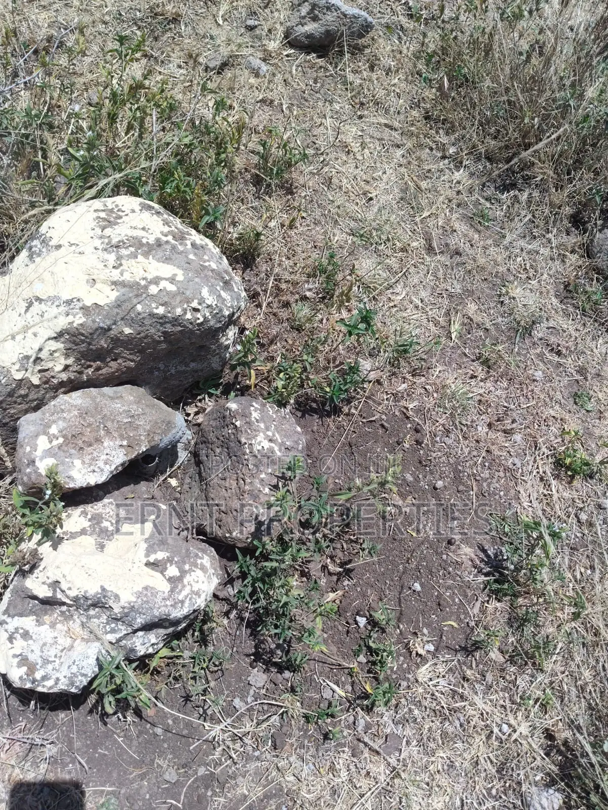 Prime 10-Acre Land for Sale | Old Choro Onyore