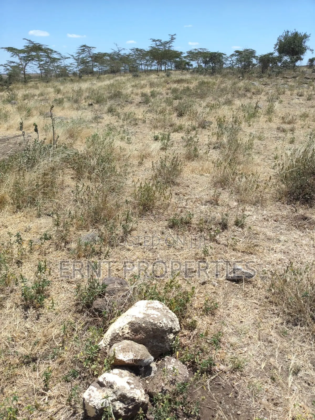 Prime 10-Acre Land for Sale | Old Choro Onyore