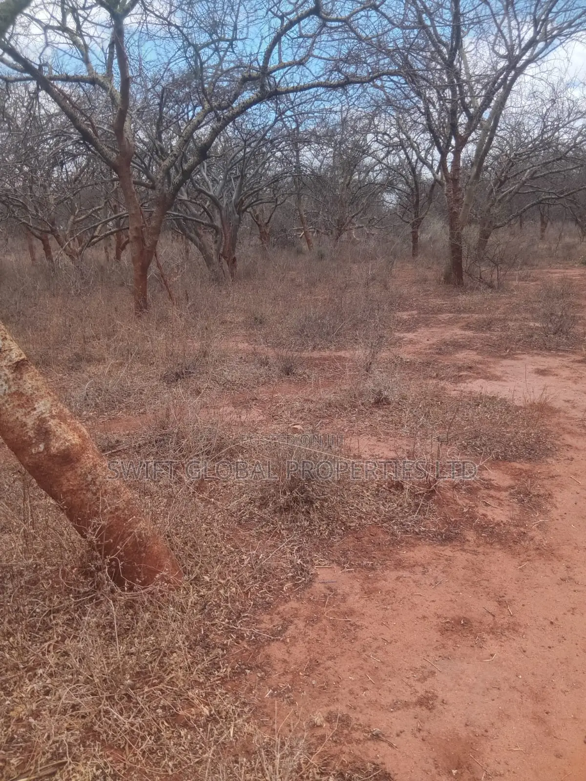 50 Acres Prime Land Near Athi River in Makueni Kambu Is for Sale