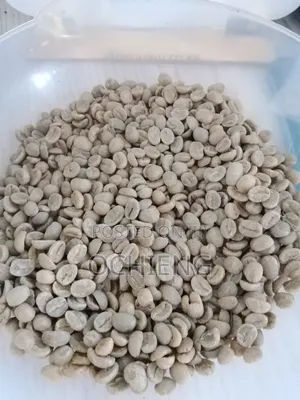 Coffee Business for Both Local and International Market