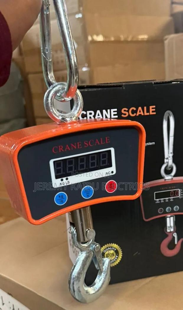 Digital Crane Scale 500kg