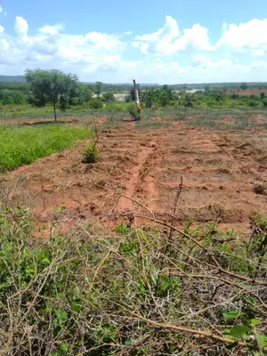 25 Acres Touching Athi River in Makueni Kambu Is Available for Sale