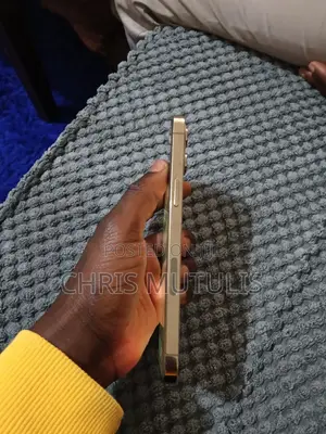 Apple iPhone 12 Pro Max 128 GB Gold