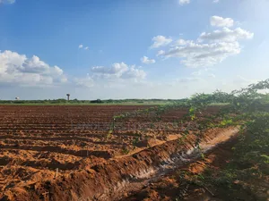 10,000 Acres at Tana River, Bura for Farming Touching River Tarmack