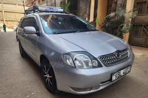 Toyota Corolla Fielder 2006 Silver