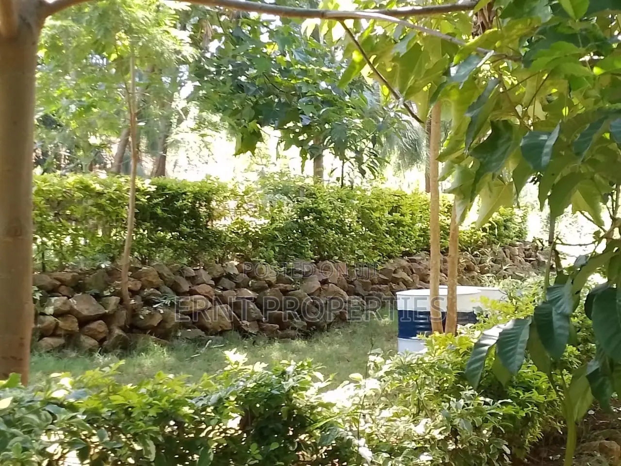 Boutique Hotel for Sale | Murang’a Town