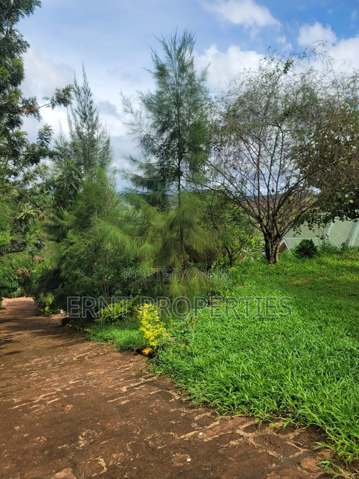 Boutique Hotel for Sale | Murang’a Town