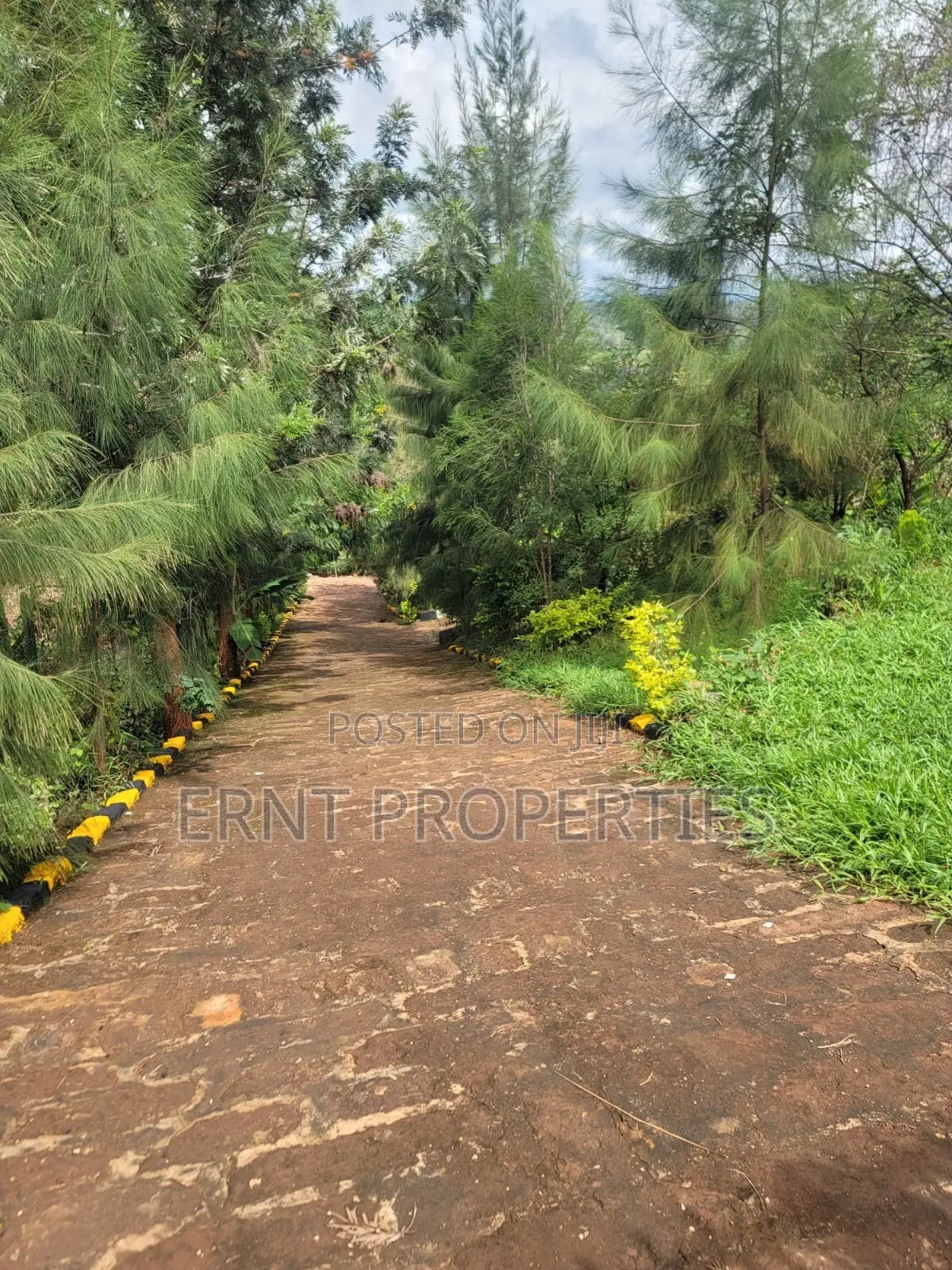 Boutique Hotel for Sale | Murang’a Town