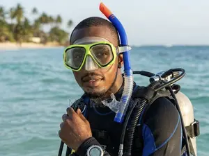 Snorkel Mask Set