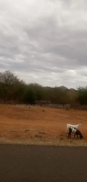 20 Prime Acres Touching Mombasa-Nairobi Highway in Masimba Is for Sale