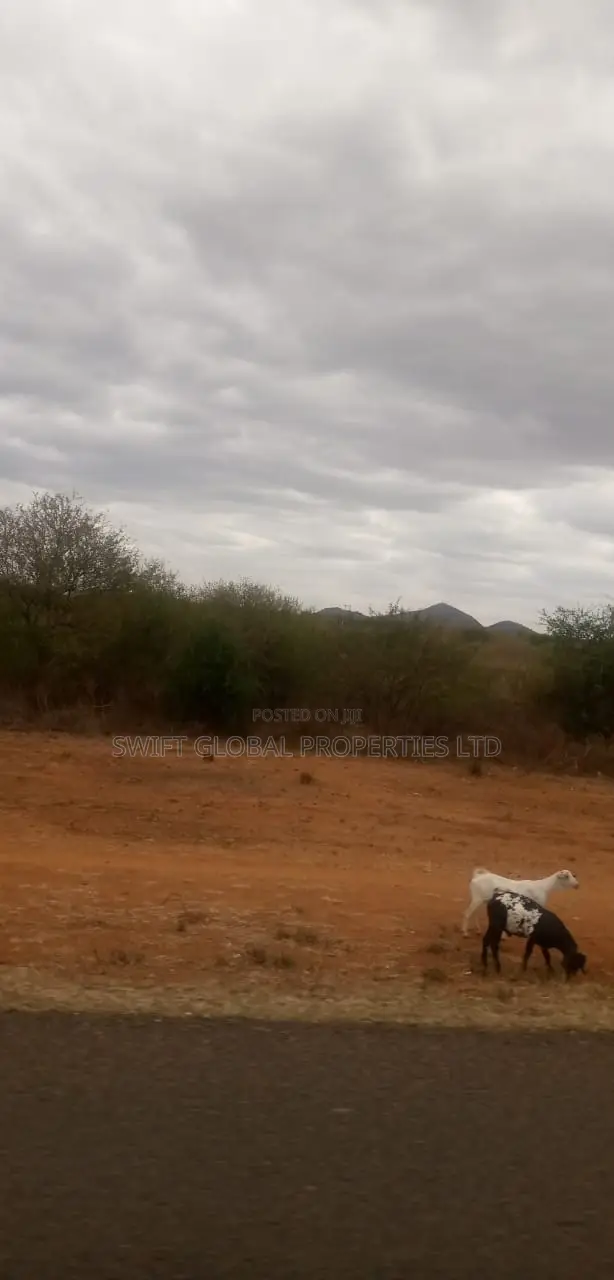 20 Prime Acres Touching Mombasa-Nairobi Highway in Masimba Is for Sale