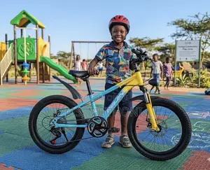 Beijing 20" Dual Disc Brake Junior MTB